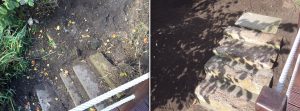 Garden Clearance Hammersmith